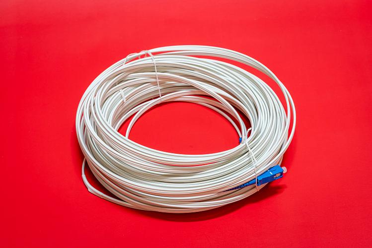 網(wǎng)絡(luò)電纜與光纖電纜 連接世界的光與電